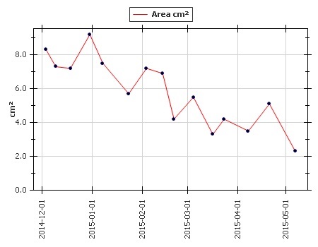 Silhouette's accurate healing graph shows John's roller-coaster route to getting his pressure ulcer under control. (Patient consent held on file.)